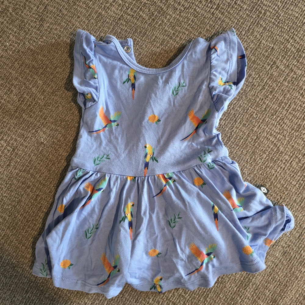Kyte Baby Twirl Bodysuit Dress In Macaw - 0-3mo